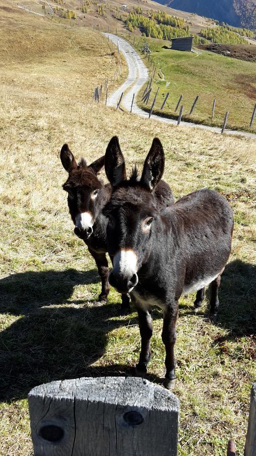 Familienpension Gletscherblick Heiligenblut am Großglockner Exterior foto